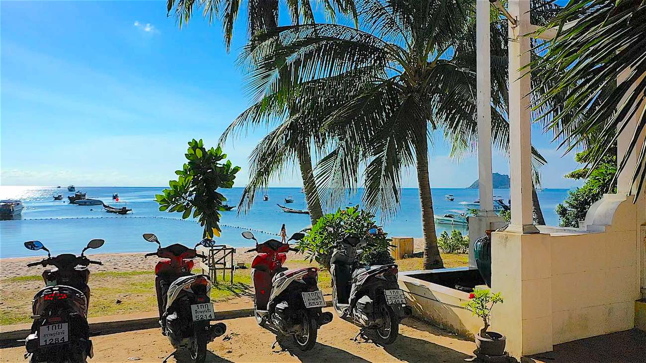 www.thefunkyturtle.com cheap scooter rental koh tao