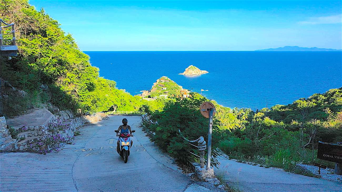 www.thefunkyturtle.com reliable scooter rental koh tao