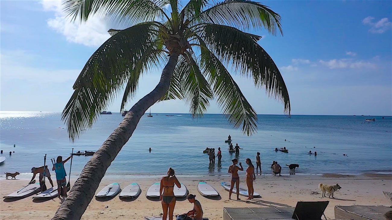 www.thefunkyturtle.com sup tao paddleboarding in sairee beach koh tao