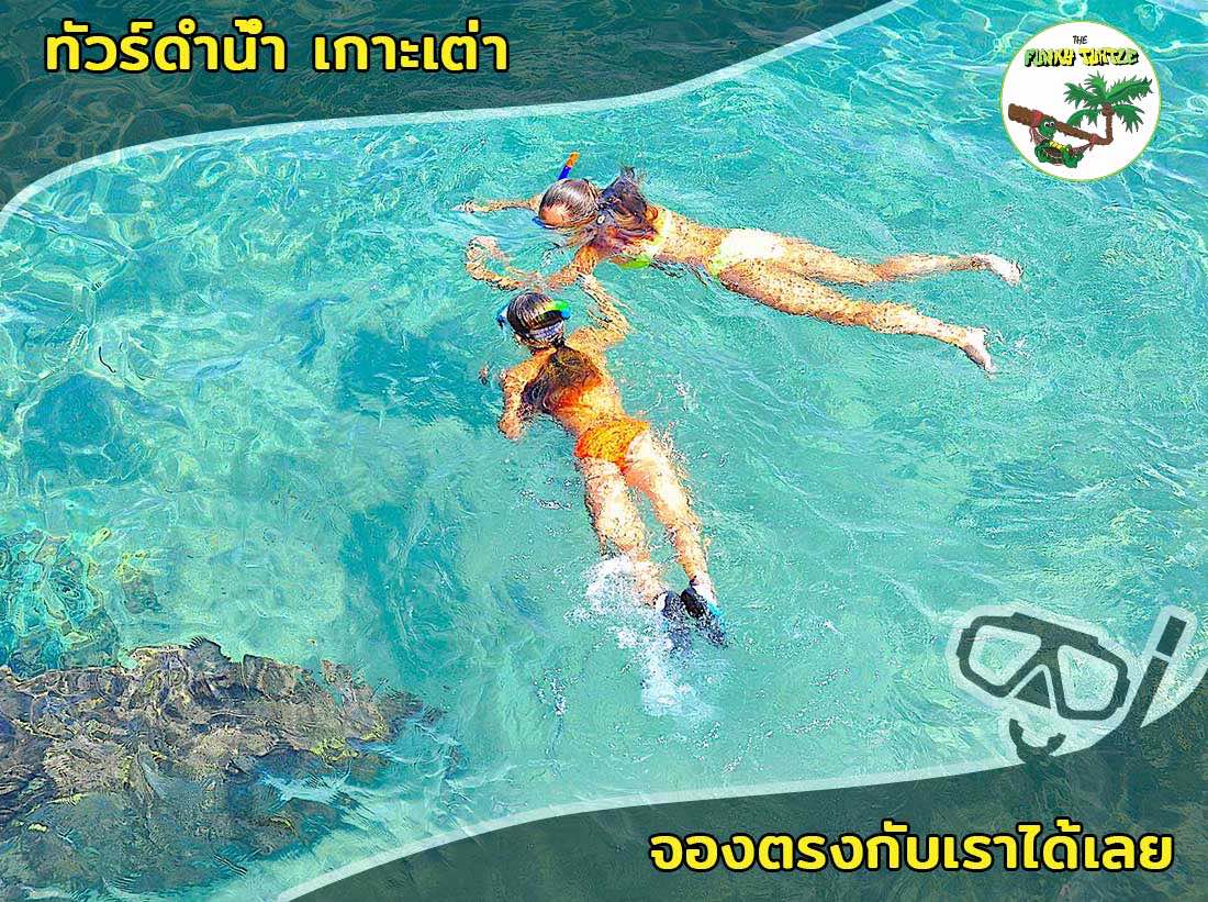 best snorkel tour Koh Tao