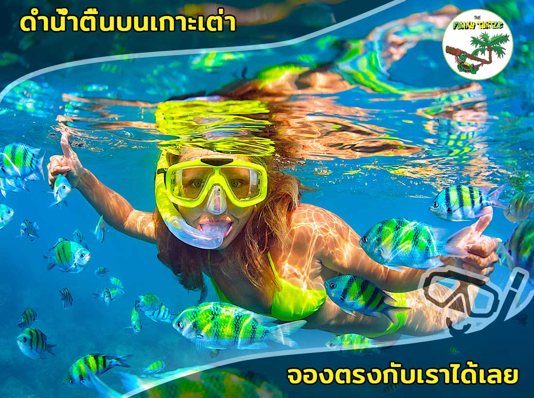 best snorkeling trips in thailand