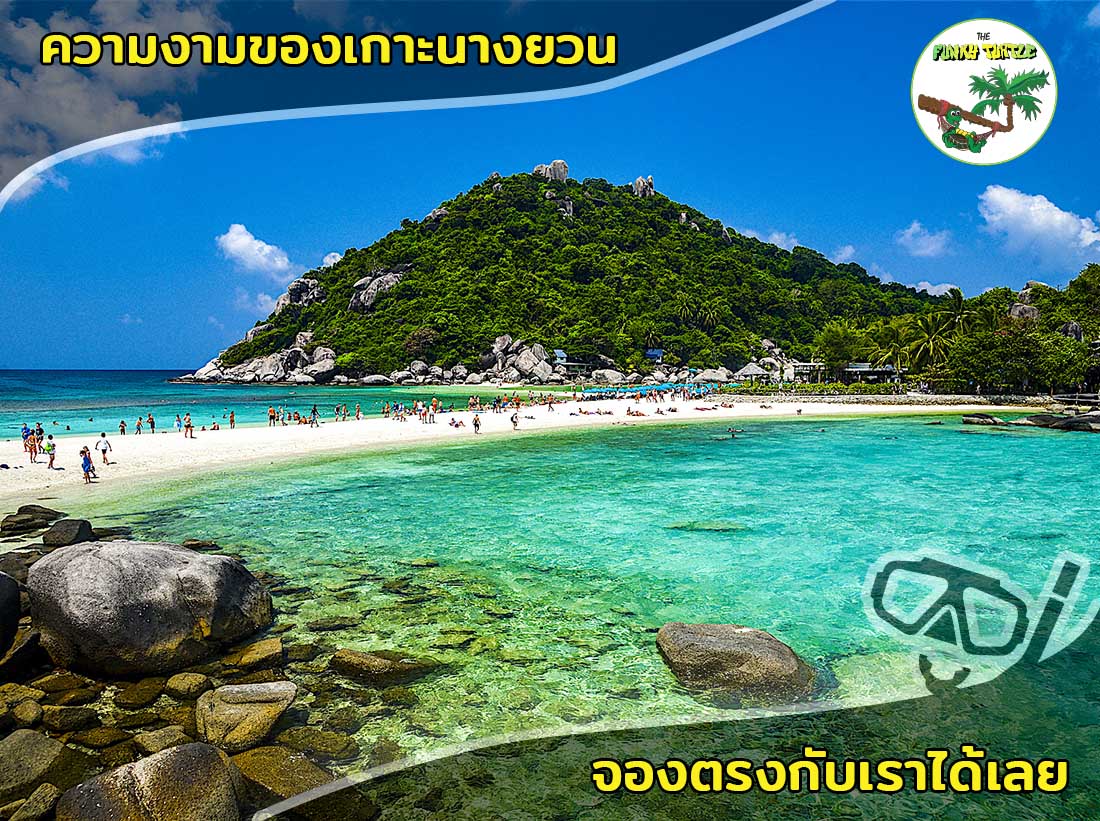 Snorkeling on beautiful Koh Nang Yuan