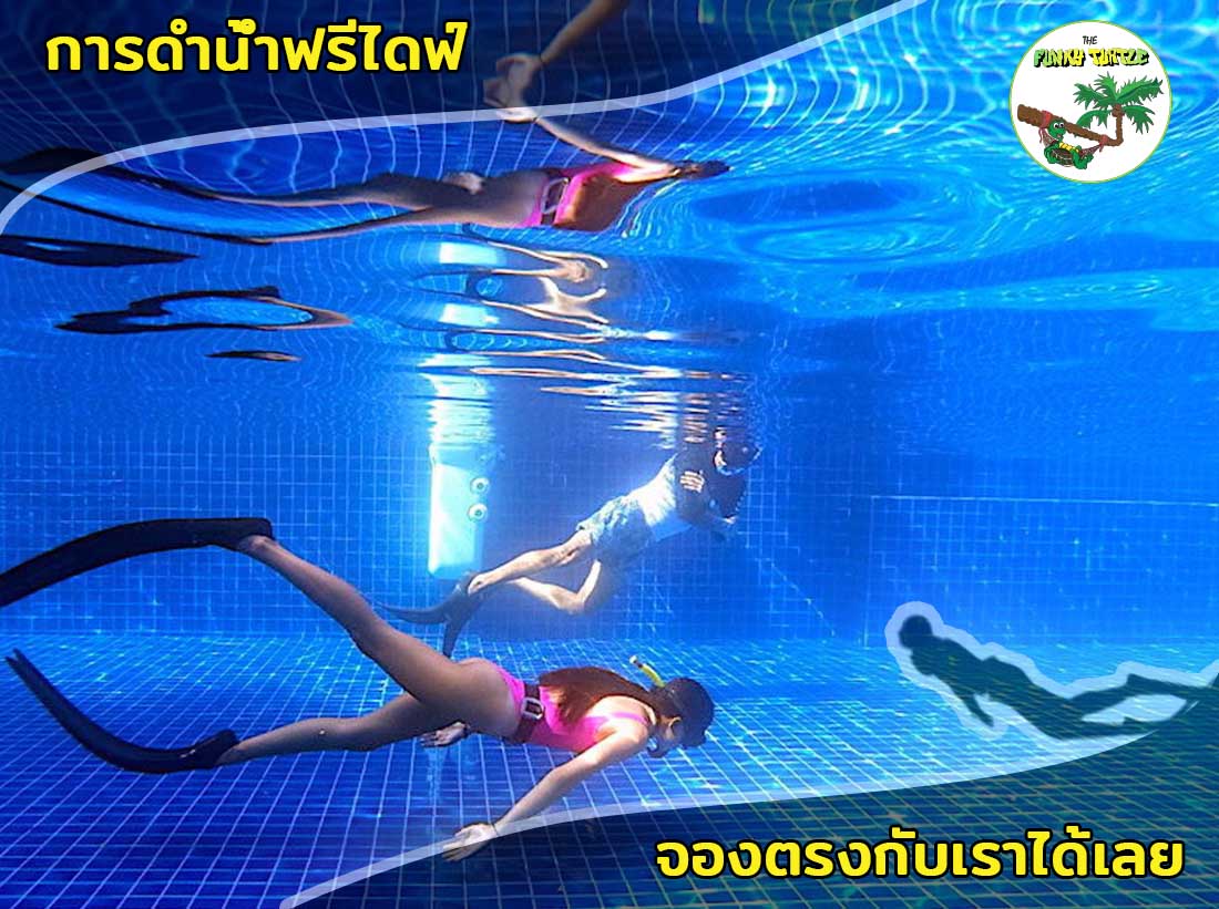 Best Freediving Courses Koh Tao