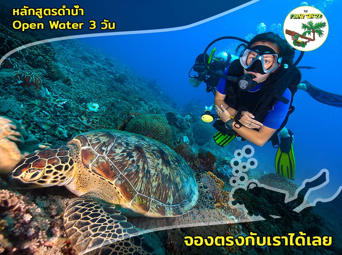 PADI Water diver course Koh Tao