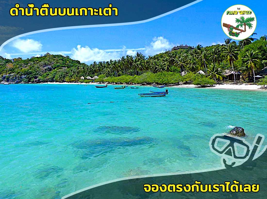 Beautiful Shark Bay Snorkeling Koh Tao